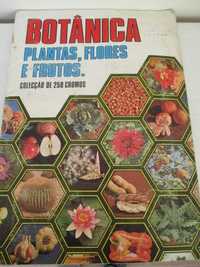 Caderneta Antiga sobre Flora Anos 70 - Completa