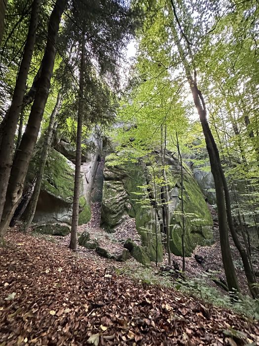 Екскурсії Караптами!Джипінг!Ексклюзивні екскурсії.Трускавець.Чан