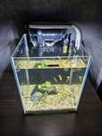 Akwarium Aquael Shrimp Set 20