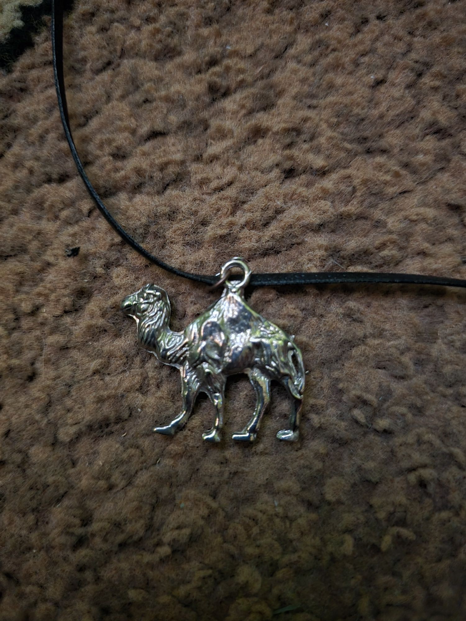 Amulet wytrwałości wielbłąd dromader
