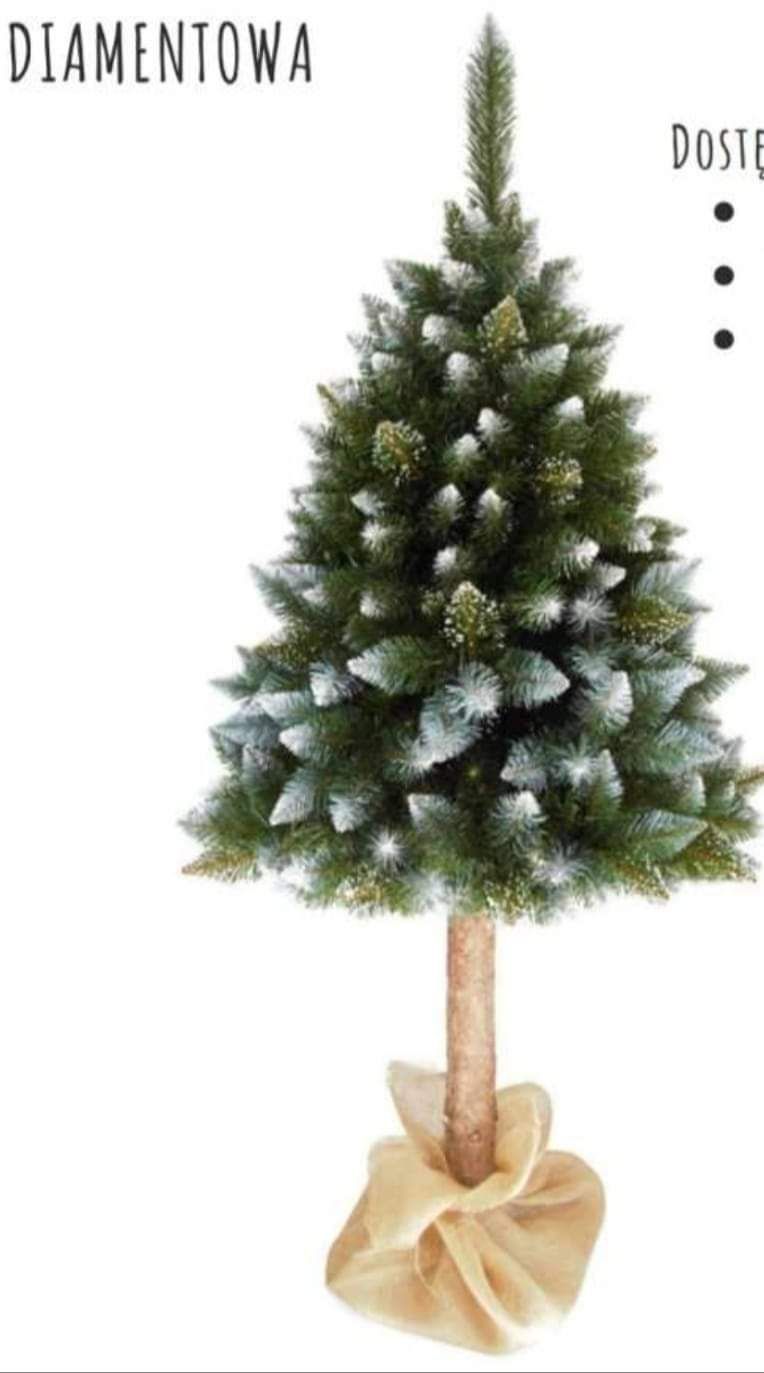 Choinka na pniu wysokość 180 cm