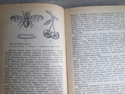 Книга "Колективні і присадибні сади" 1980 р.