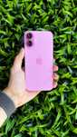 iPhone 16 128GB Bateria 100% Rosa - Loja Ovar