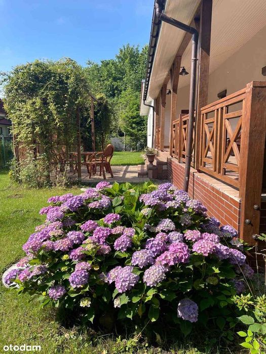 Przestronny dom nad morzem z ogrodem i klimatyzacją