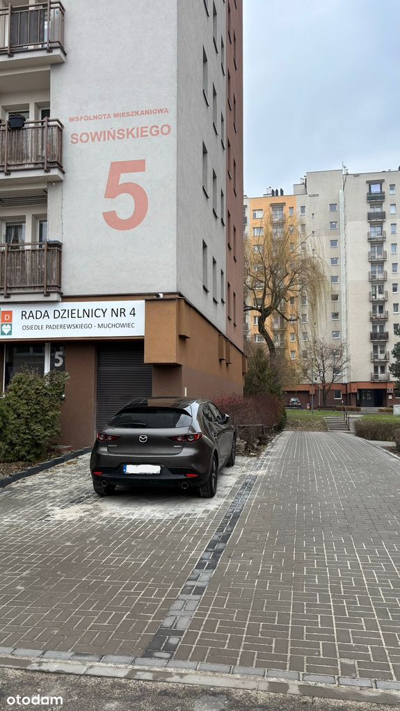 Mieszkanie, Katowice