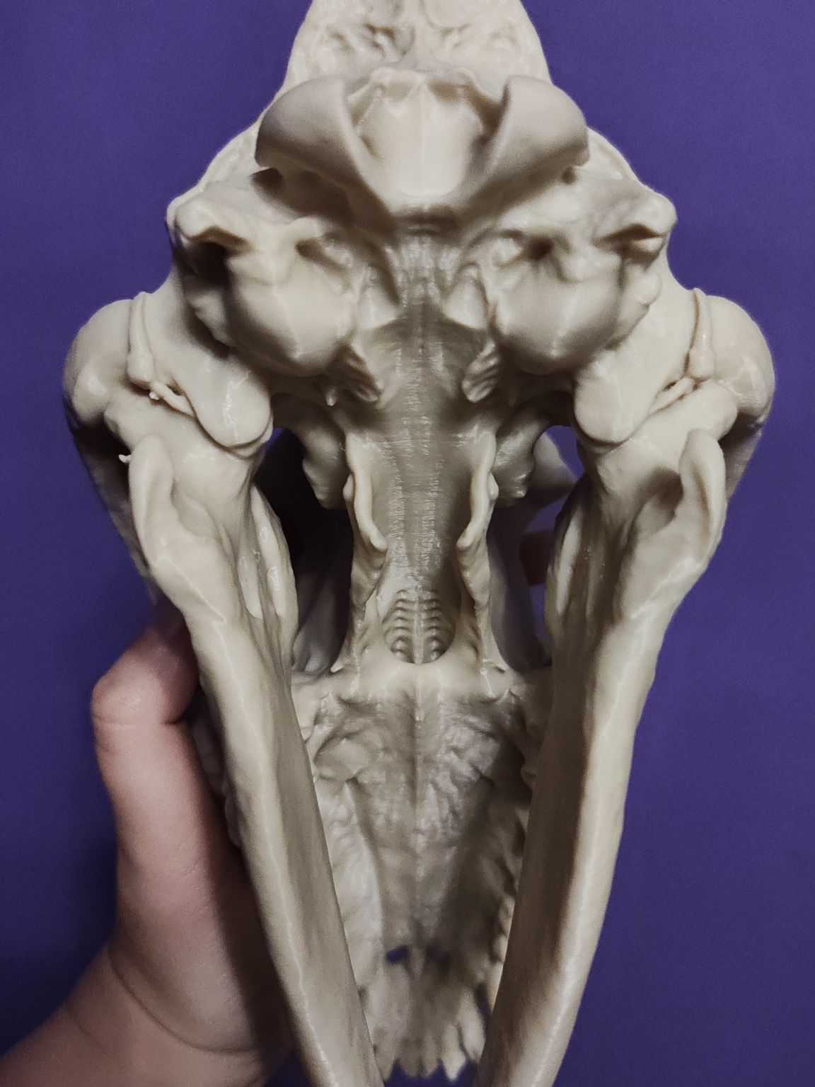 Model 3d wilk szary