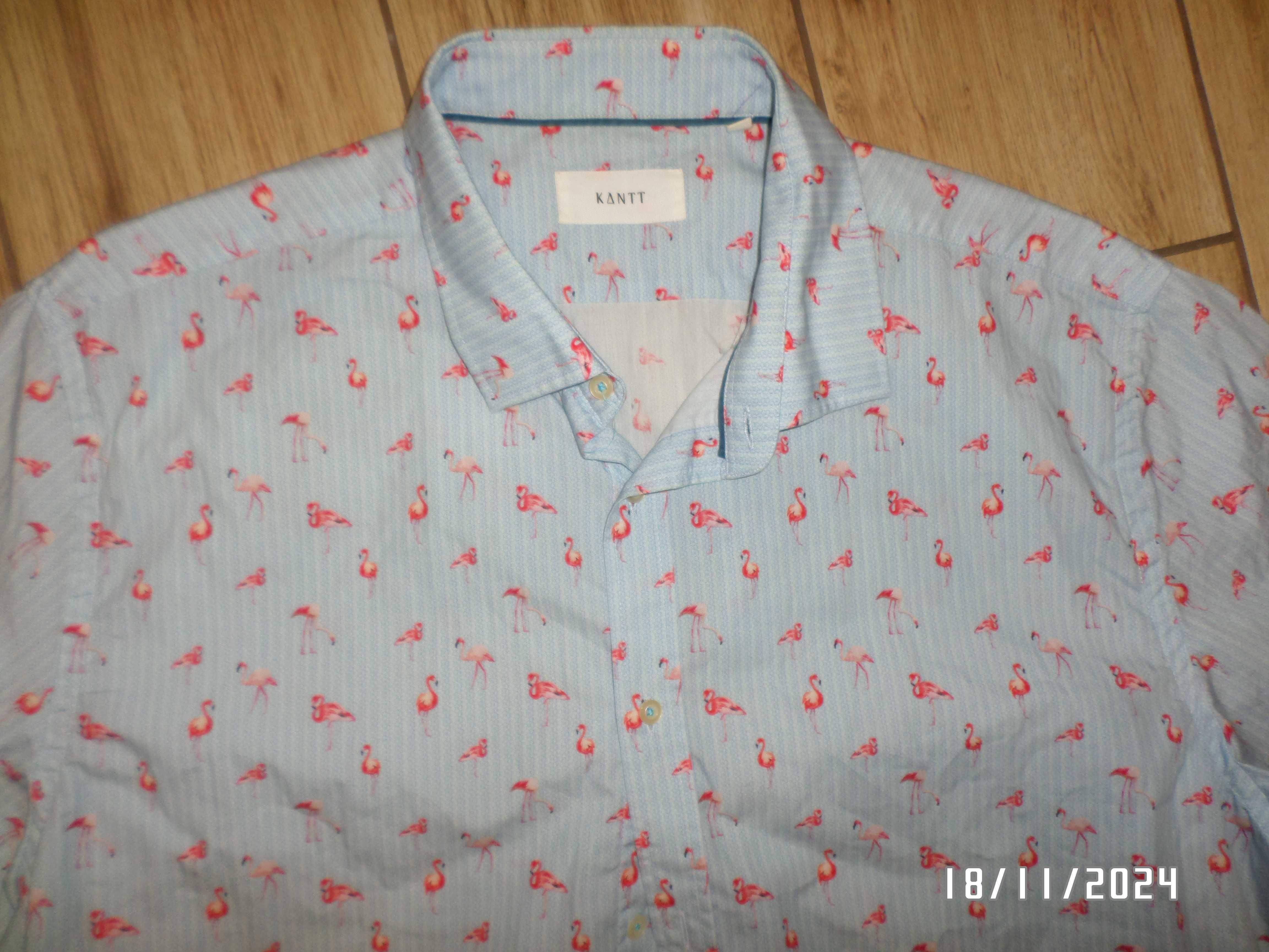 firmowa męska koszula hawajska-KANTT-XL/XXL