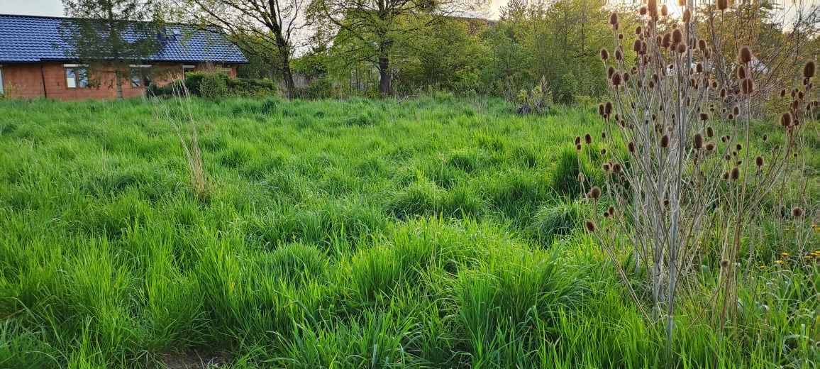 Sprzedam działkę budowlaną w miejscowości Sady