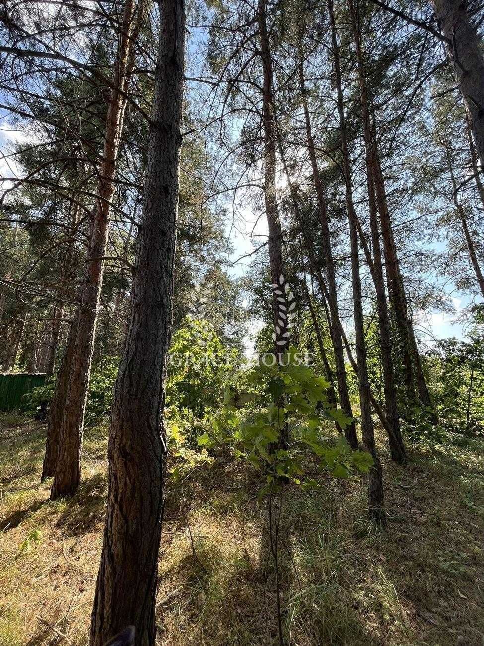Продаж ділянки 0.12 га в соснах Козин, Конча-Заспа, дамба біля Дніпра