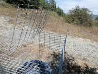 Gaiolas para animais