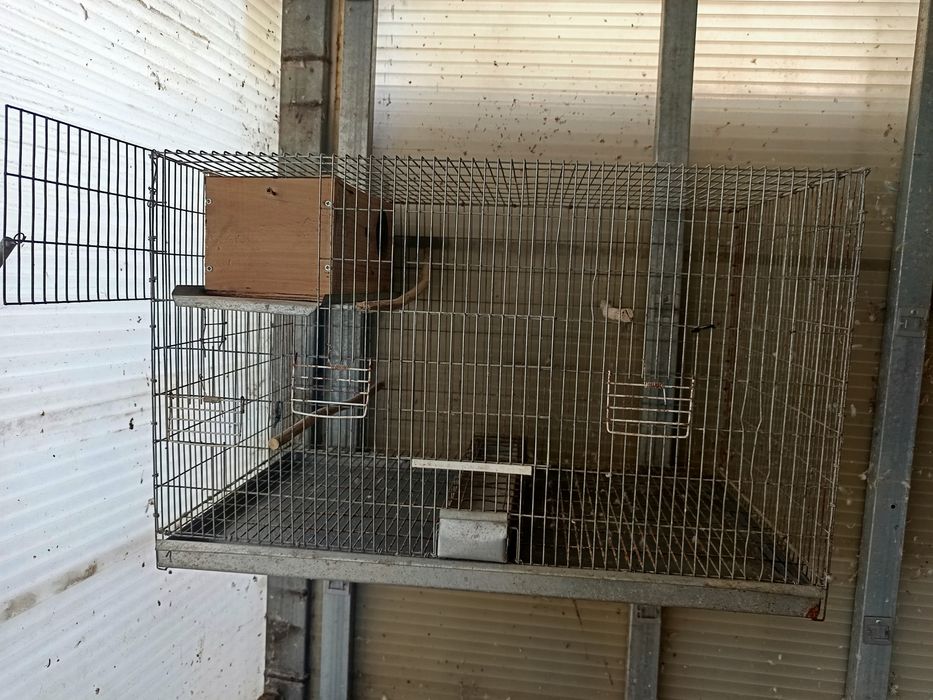 Gaiola ninho inteiro