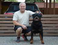 Rottweiler szczenię samiec ZKwP