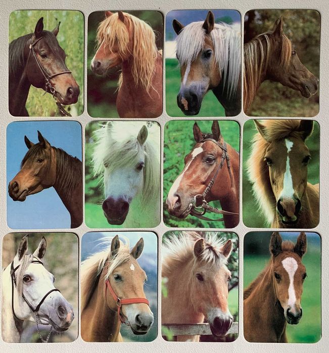 Calendários de 1989 - Cavalos (preço unitário)