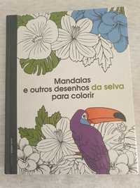 Mandalas e outros desenhos da selva para colorir