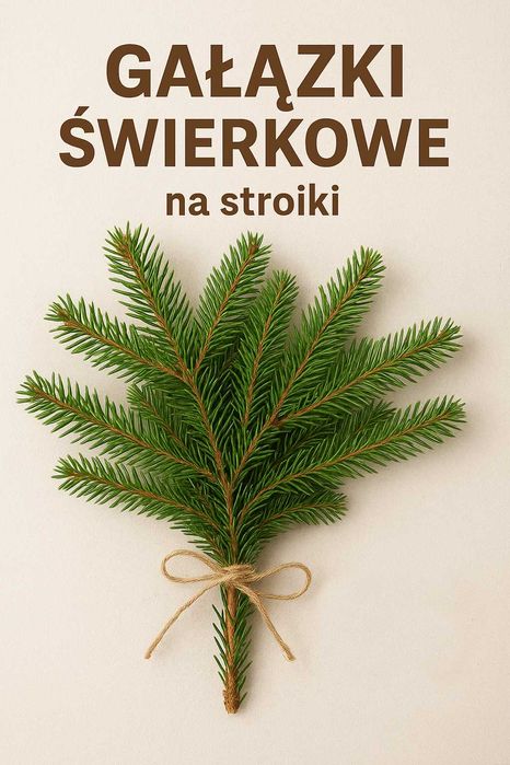 Świerk pospolity - gałązki na STROIKI,  całe drzewka