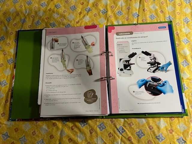 Dossier Professor - C. Naturais - 6º Ano  - "Viva a Vida! 6"