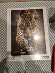 Puzzle Leopardo CLEMENTONI