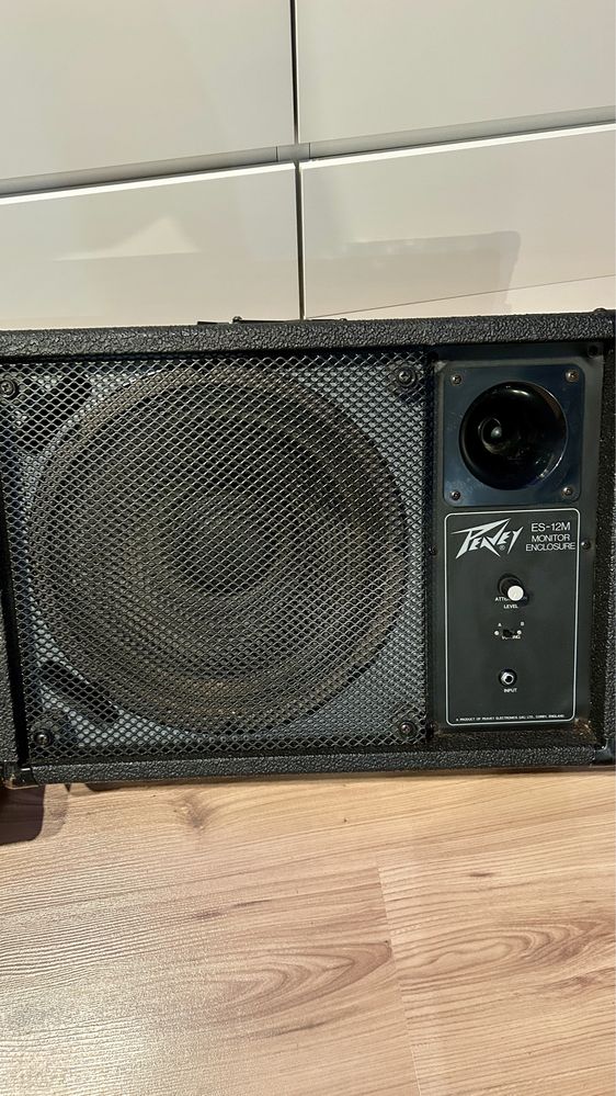 Peavey zawodowe odsluchy sceniczne