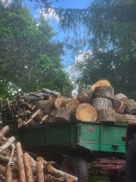 Sprzedam drewno deba kominkowe