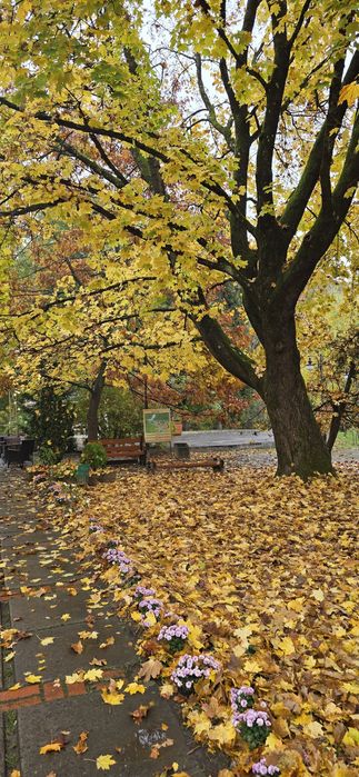 В курортному містечку Свалява смарт квартира