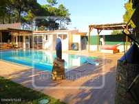 Quinta com Moradia T3 e piscina, mais lote de terreno rústico - Ter...
