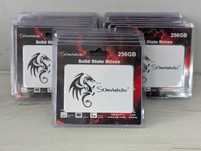 SSD M.2 Solid State Drive SomnAmbulist 256 Gb