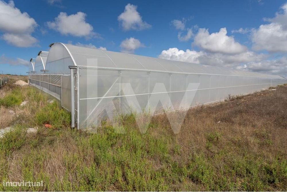 Terreno com Estufas e Infraestrutura Completa em São João das Lampas e