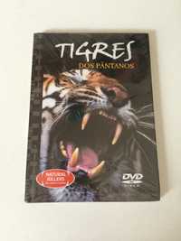 DVD - Tigre dos Pântanos