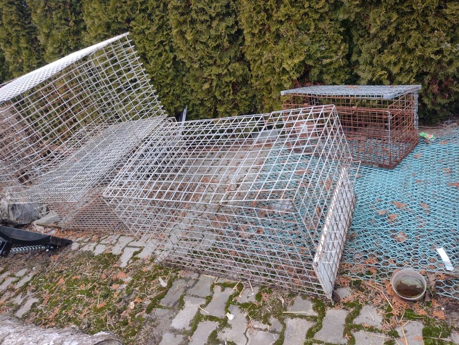 Klatki dla ptaków królików