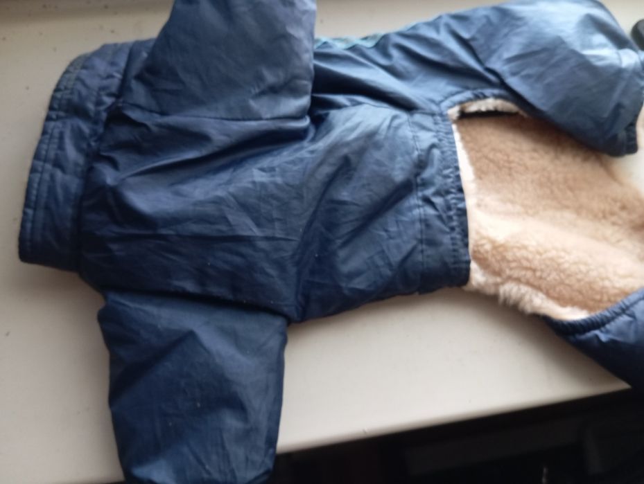 Одежда для маленькой собачки