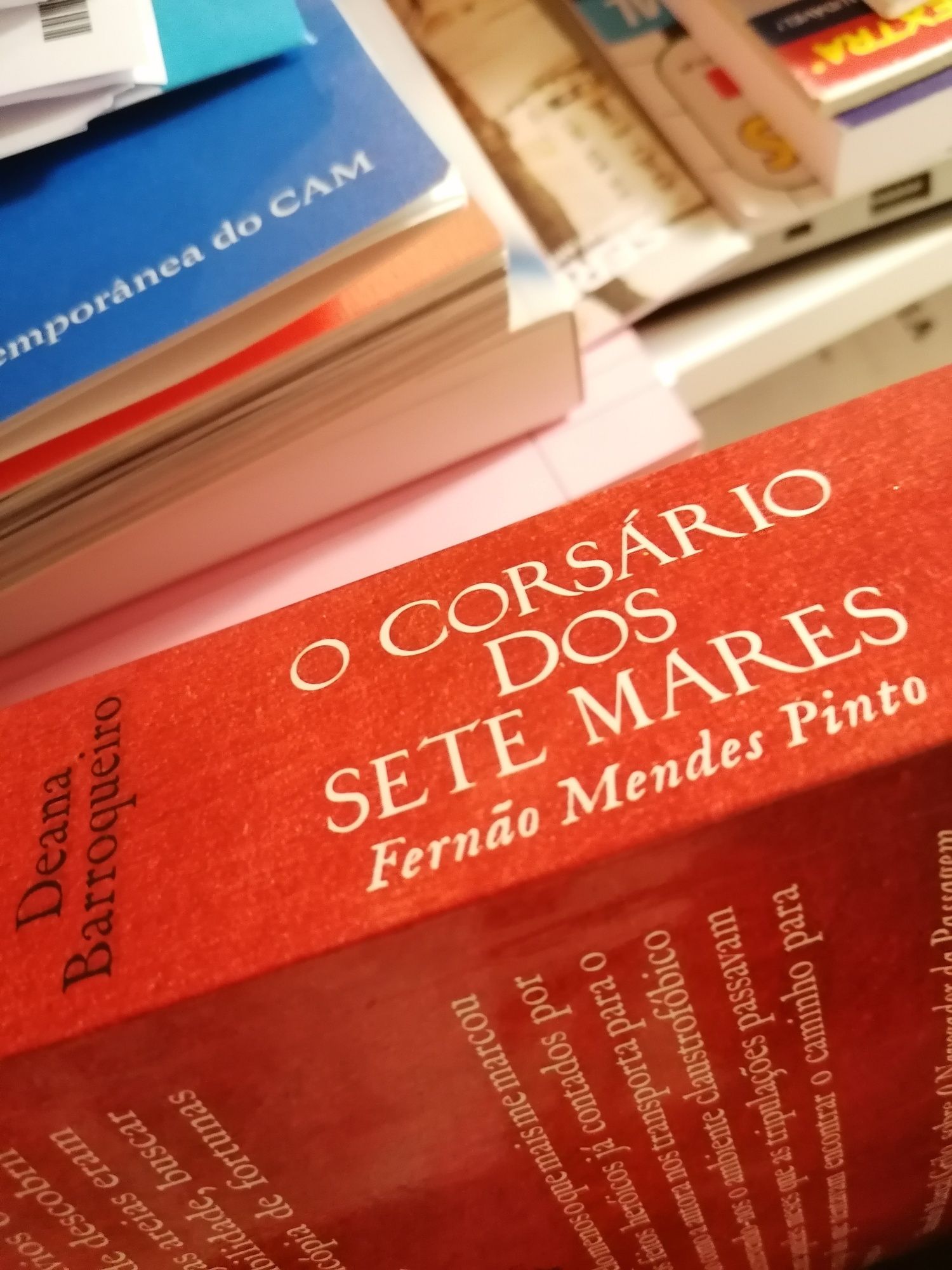 O corsário dos sete mares