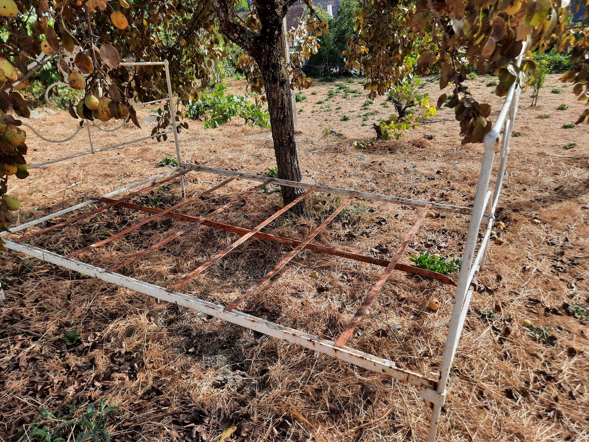Cama antiga em ferro | Old iron bed