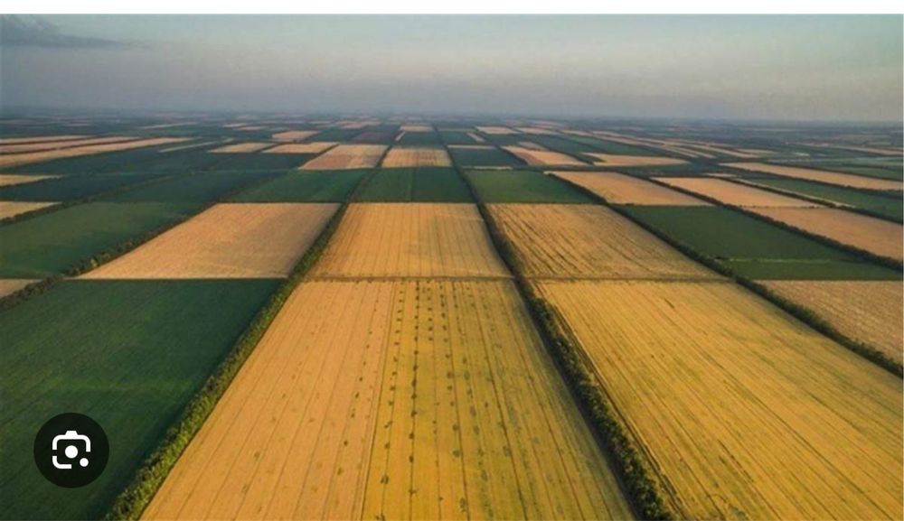 Продам земельну ділянку (пай)