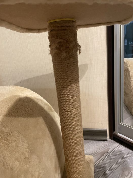 Кігтеточка для котів.