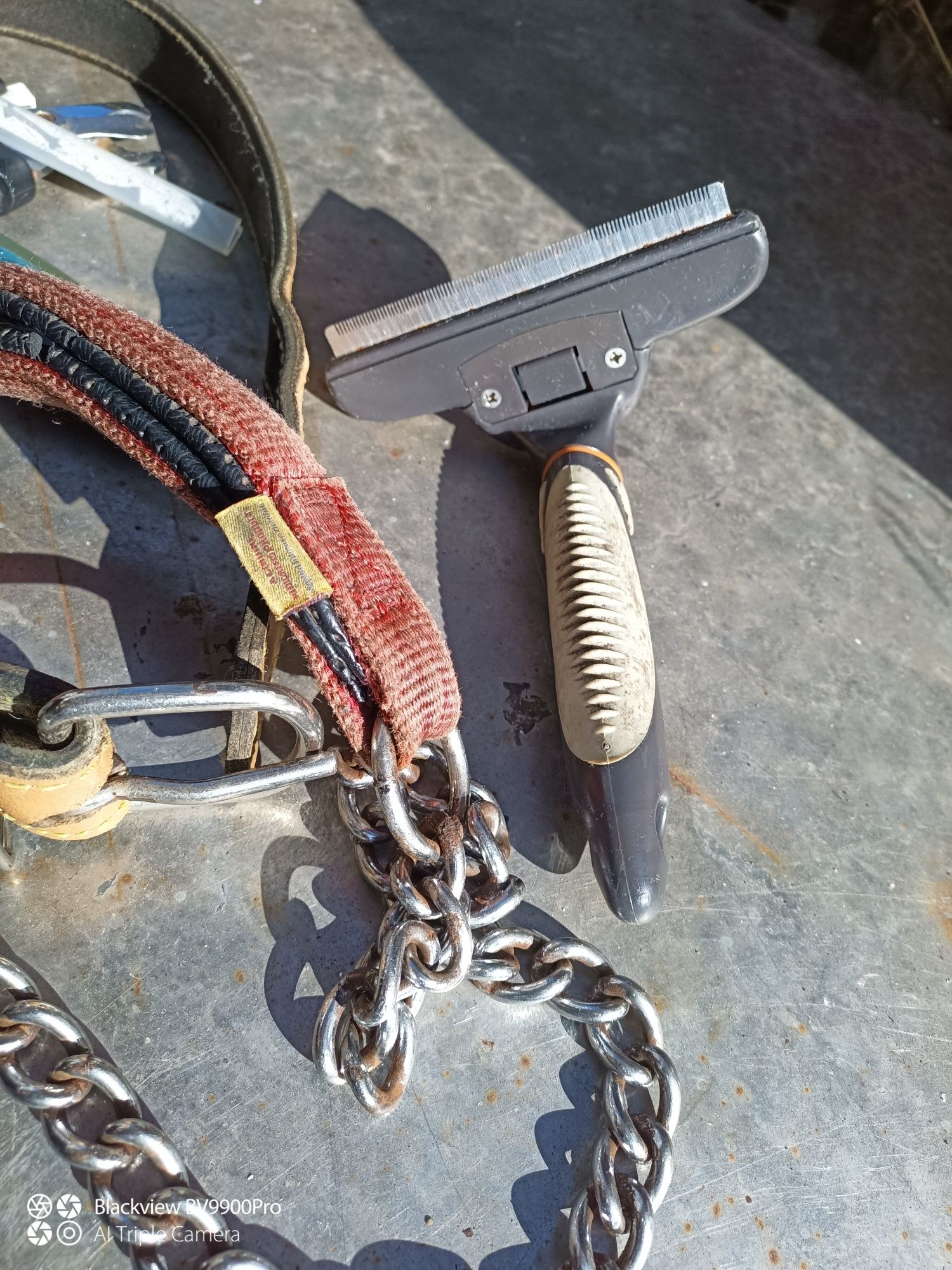 5 utensílios para cão de grande porte