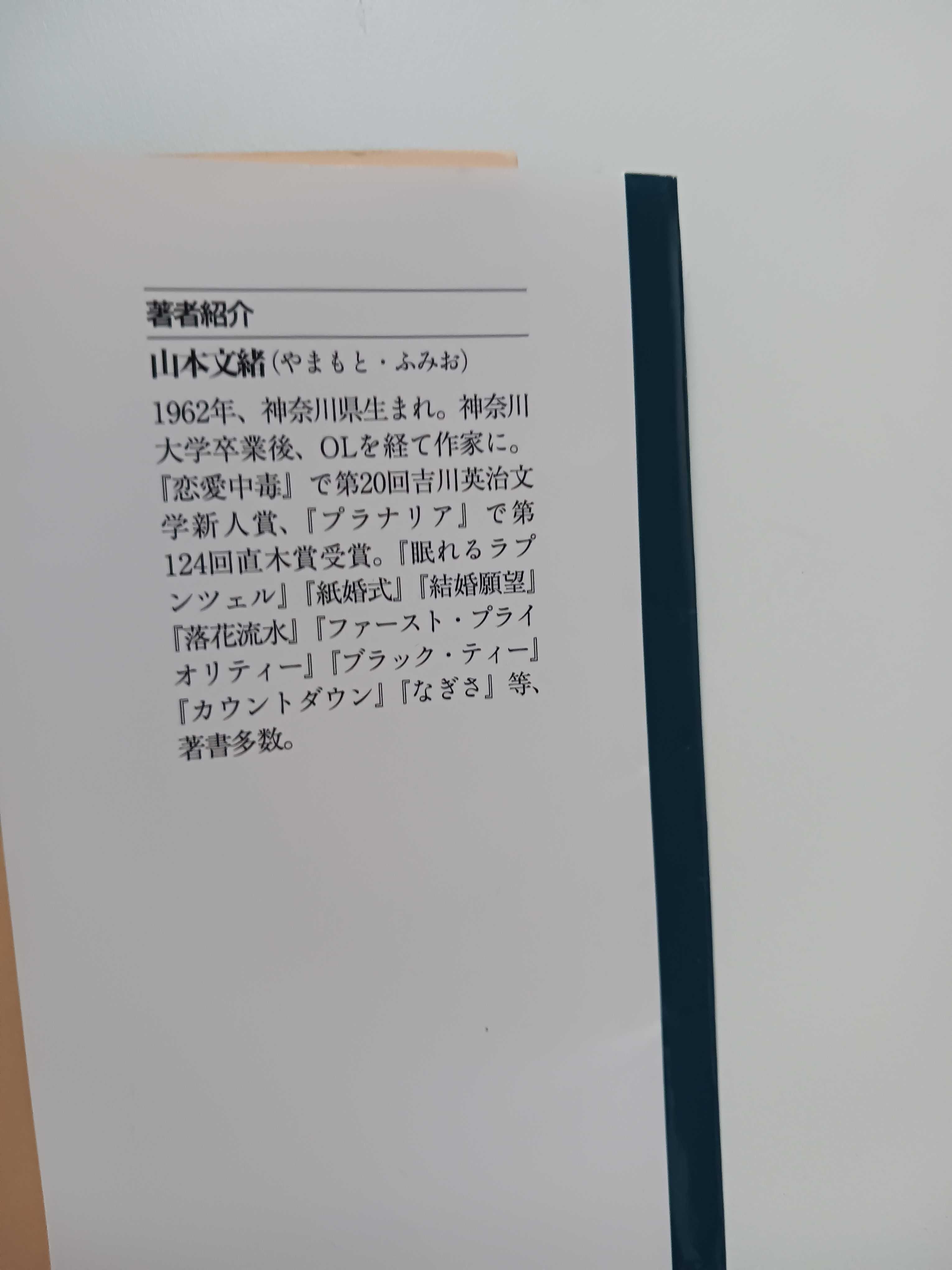 Książka po JAPOŃSKU Yamamoto Fumio 日本語