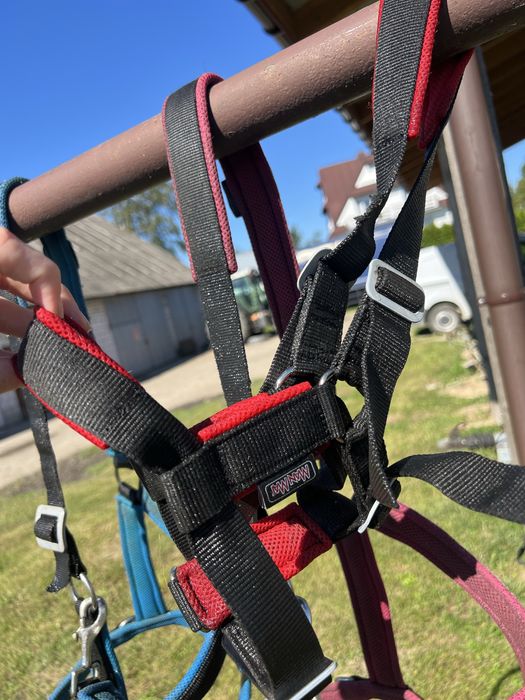 Kantar dla źrebiąt ManMat Stable Foal czerwony