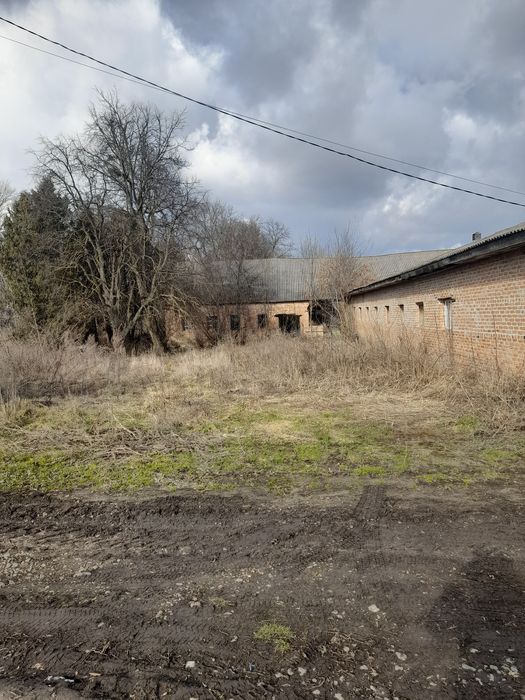 Склад ферма корівник свинарник курник курятник ангар продам