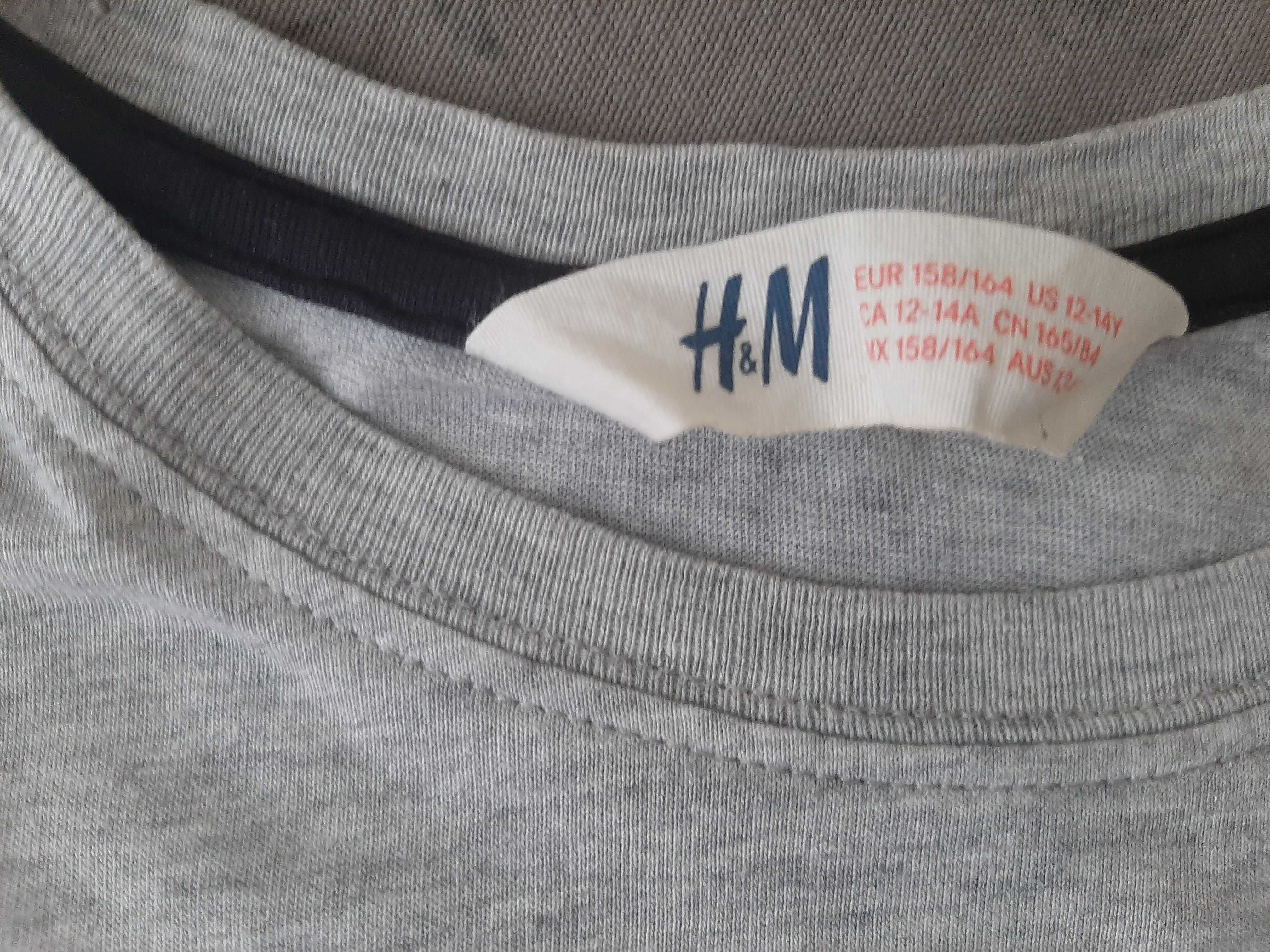 Футболка H&M с мопсом, хозяйкам мопсов, собачка мопс,тонкая, лето, S/M