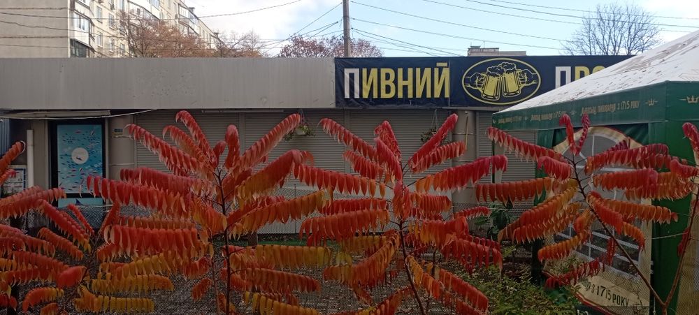 Аренда кафе с площадкой ул.Г.Труда 49.