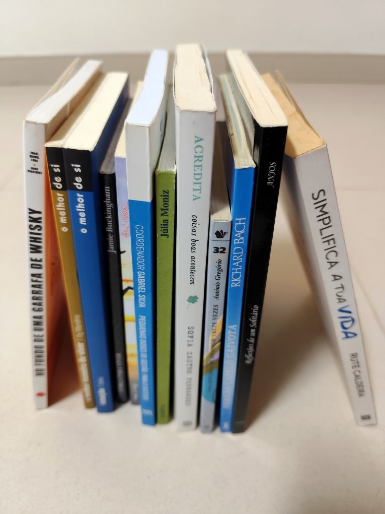 Livros de Auto Ajuda / Espirituais (Força para Viver)