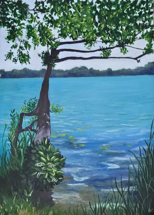 Obraz akrylowy pejzaż