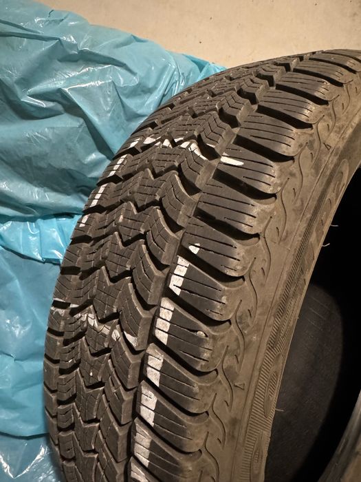 Opony zimowe Dębica 195/55 R16