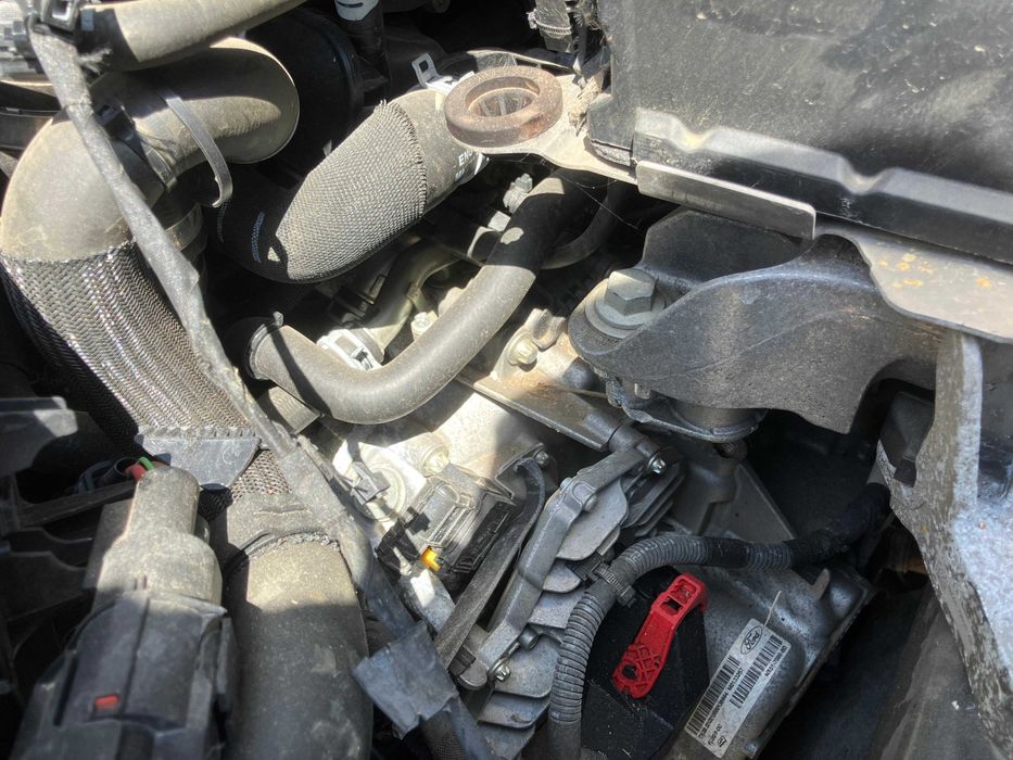 Salvado FORD FOCUS IV Turnier 1.0 EcoBoost 125hp 2023 45.256Km