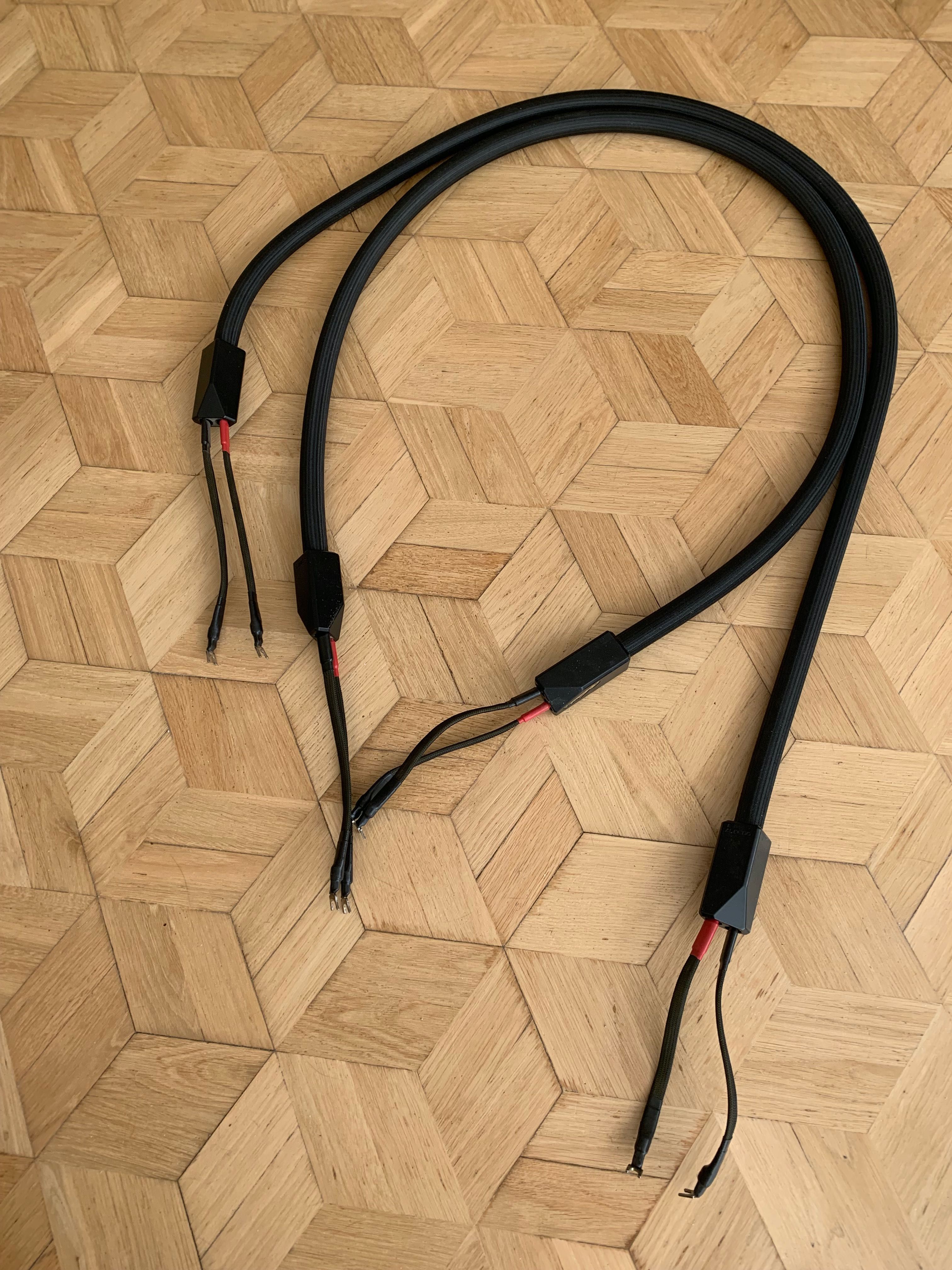 Kable głośnikowe Albedo Versus 2,5 m, wczesna wersja