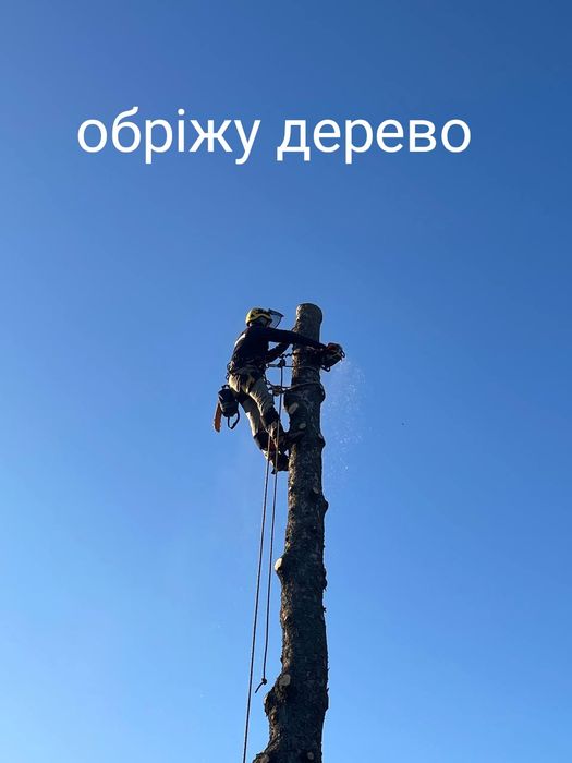 Зрізка дерев, верхолаз, альпініст.