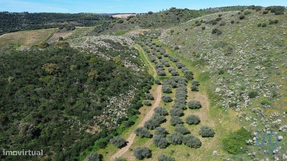 Terreno em Veiga de Lila de 72000,00 m2