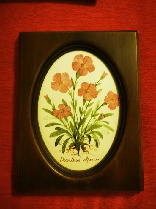 4 Quadros tema flores