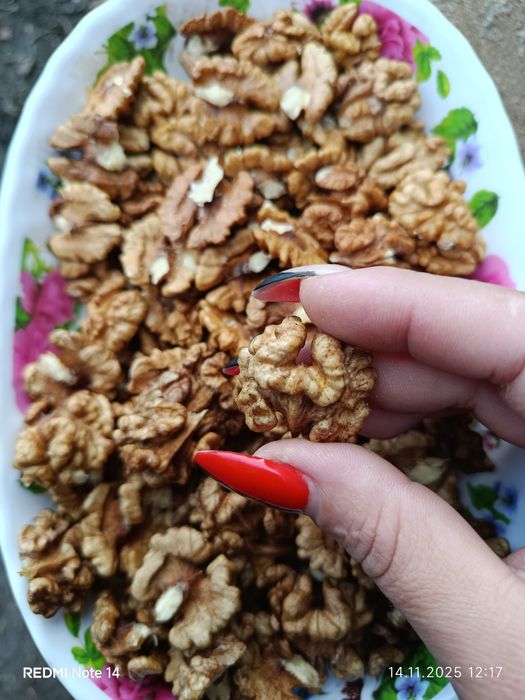 Грецький горіх, бабочка