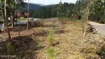 Terreno  para venda